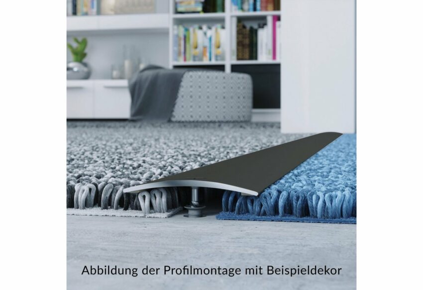 Arbiton Übergangsprofil »PR3 Optik Titan« (1-St), matt, 30 mm x 93 cm für Schraubmontage-Bodenprofile-Ideen für dein Zuhause von Home Trends