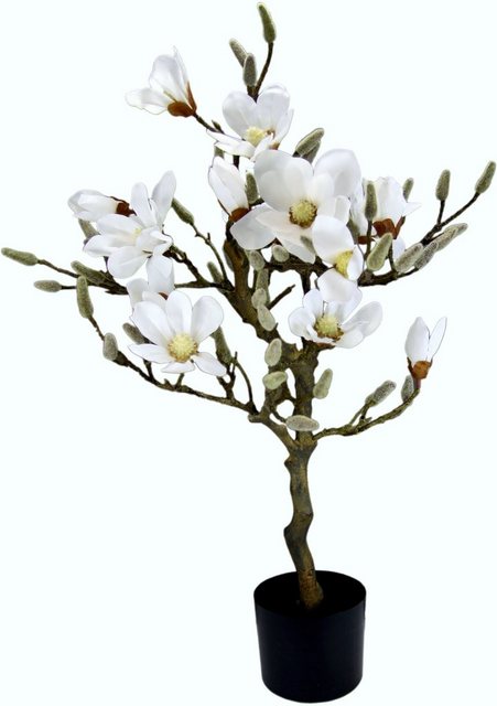 Kunstbaum »Magnolienbaum«, I.GE.A., Höhe 78 cm, im Kunststofftopf-Kunstpflanzen-Inspirationen