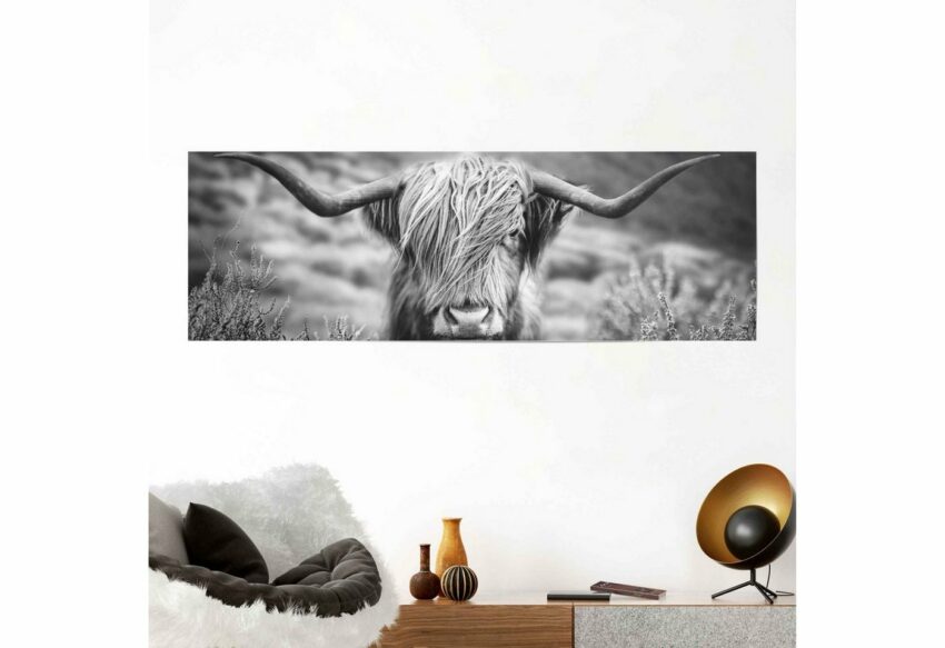 Reinders! Poster »Highlander Bulle Tiermotiv - Nahaufnahme - Hochlandrind Bild«, (1 Stück)-Bilder-Ideen für dein Zuhause von Home Trends