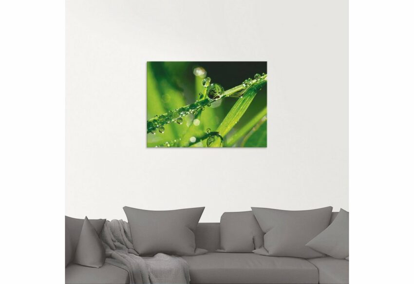 Artland Glasbild »Wassertropfen auf Gras«, Gräser (1 Stück)-Bilder-Ideen für dein Zuhause von Home Trends