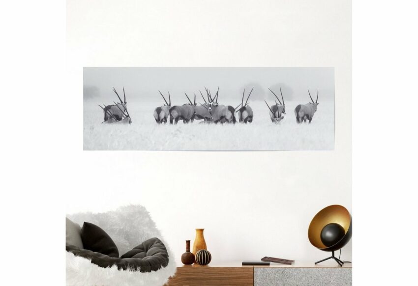 Reinders! Poster »Antilopen Herde«, (1 Stück)-Bilder-Ideen für dein Zuhause von Home Trends