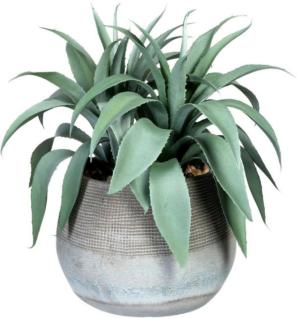 Künstliche Zimmerpflanze »Agave« Agave, Creativ green, Höhe 35 cm, im Zementtopf-Kunstpflanzen-Inspirationen