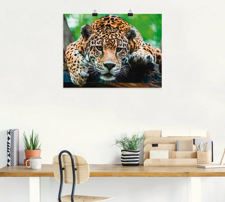 Artland Wandbild »Südamerikanischer Jaguar«, Wildtiere (1 Stück), in vielen Größen & Produktarten - Alubild / Outdoorbild für den Außenbereich, Leinwandbild, Poster, Wandaufkleber / Wandtattoo auch für Badezimmer geeignet-Bilder-Ideen für dein Zuhause von Home Trends