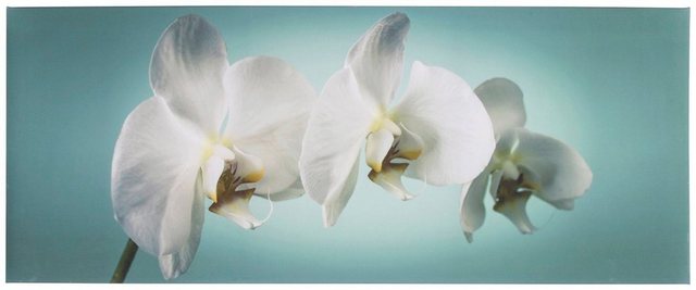 Art for the home Leinwandbild »Orchidee«, Orchidee-Bilder-Inspirationen